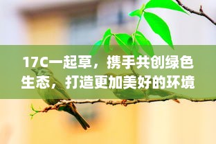 17C一起草，携手共创绿色生态，打造更加美好的环境