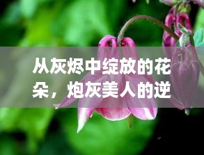 从灰烬中绽放的花朵，炮灰美人的逆袭