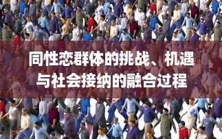 同性恋群体的挑战、机遇与社会接纳的融合过程