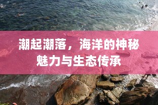 潮起潮落，海洋的神秘魅力与生态传承