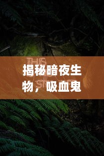 揭秘暗夜生物，吸血鬼幸存者的生存策略与合成表