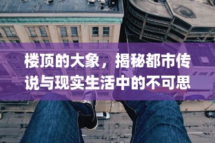 楼顶的大象，揭秘都市传说与现实生活中的不可思议现象