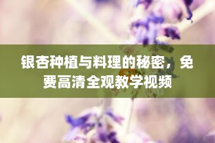 银杏种植与料理的秘密，免费高清全观教学视频