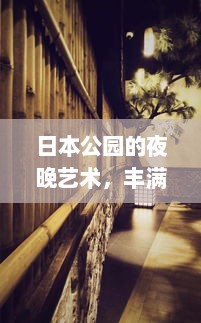 日本公园的夜晚艺术，丰满熄火灯的独特景象