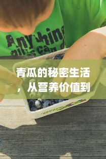 青瓜的秘密生活，从营养价值到日常应用